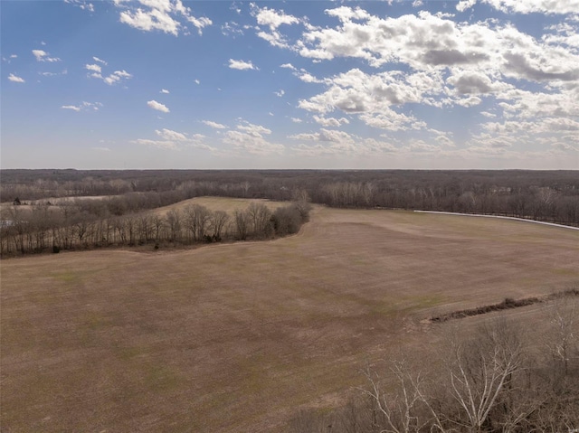view of undeveloped land