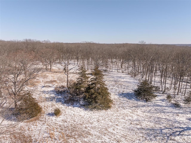 view of nature