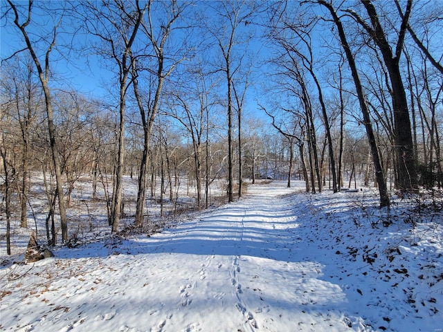 view of snowy yard