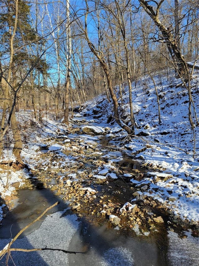view of snow covered land