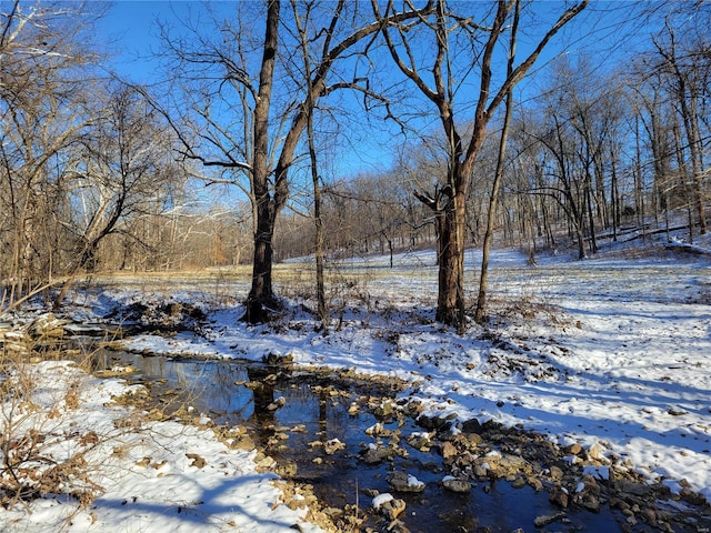 view of yard covered in snow