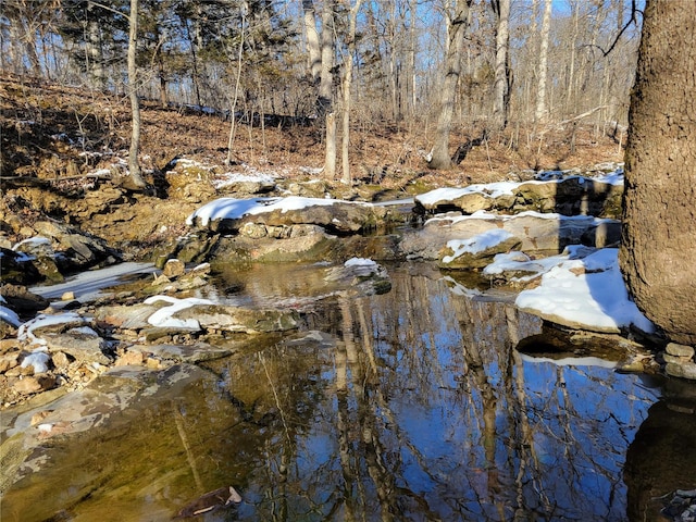view of local wilderness