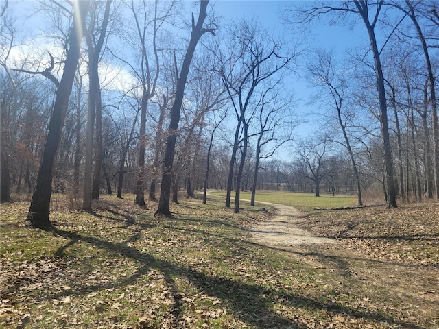 view of woods