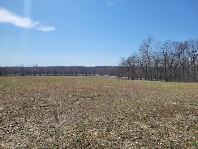view of yard featuring a rural view