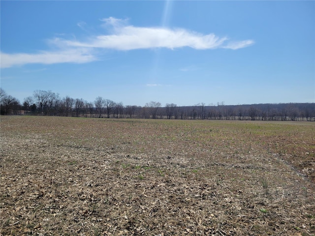 view of yard featuring a view of countryside