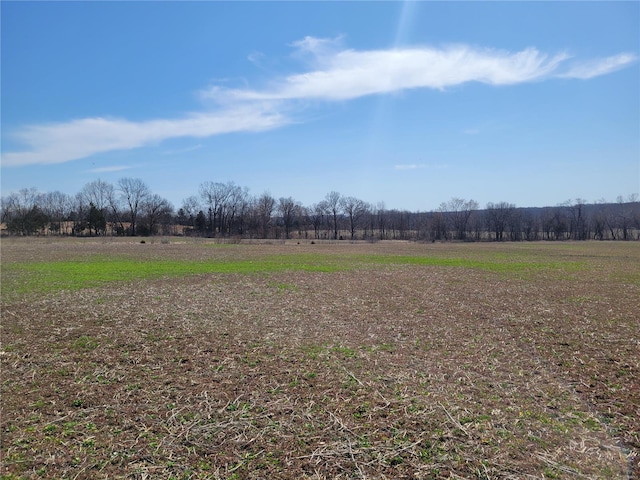 view of yard featuring a view of rural / pastoral area