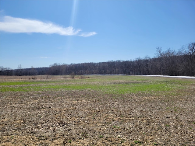 view of yard with a view of countryside and a wooded view
