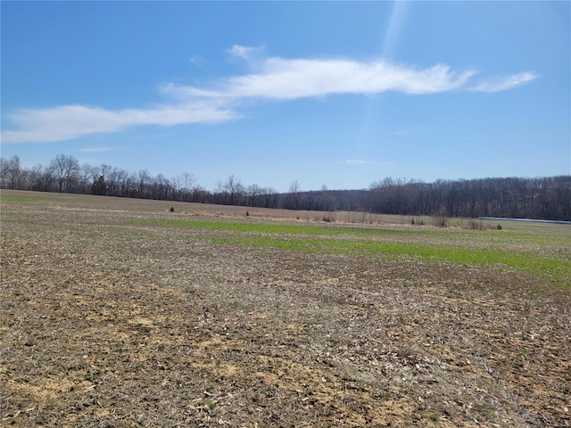view of yard with a rural view