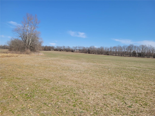 view of undeveloped land