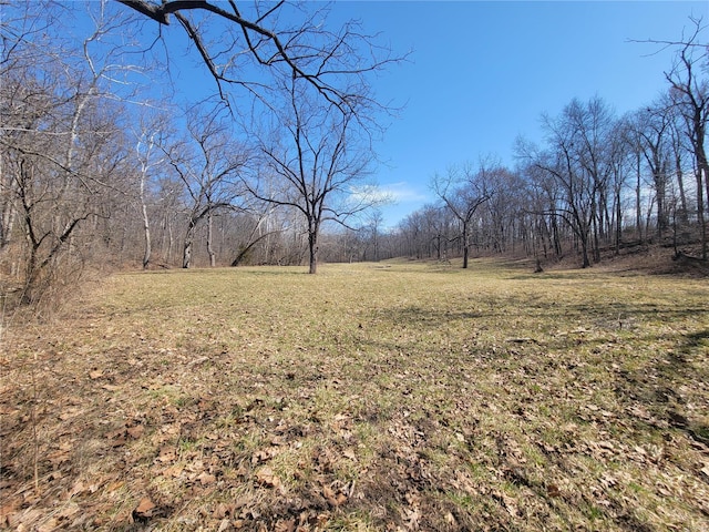 view of tree filled area