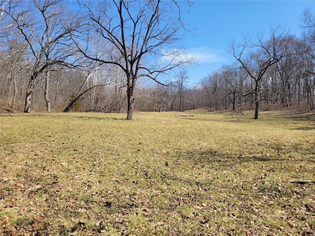 view of green lawn featuring a view of trees