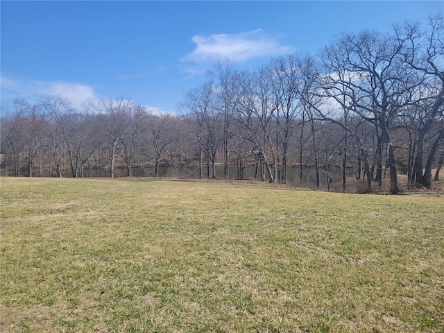 view of grassy yard