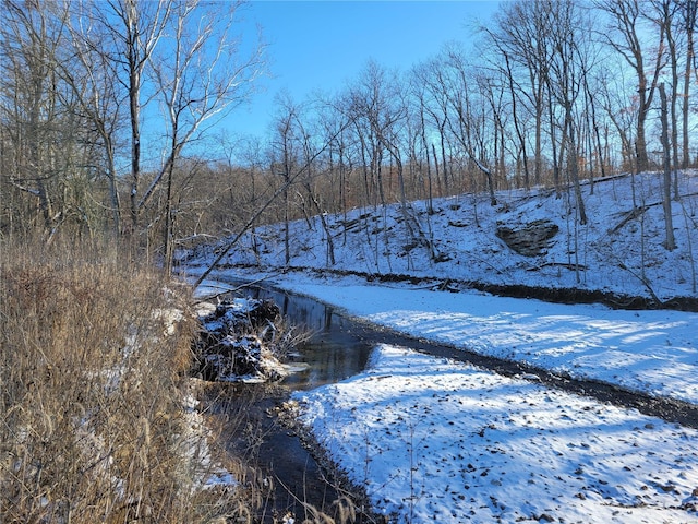 view of yard covered in snow