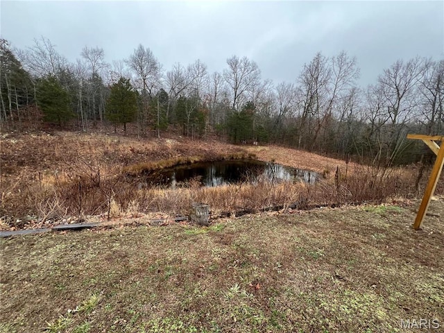 view of yard with a water view and a forest view