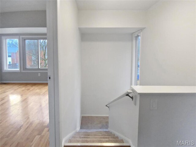 12314 Rossridge Ct, Saint Louis, MO 63146 - photo 16