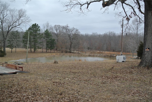 view of yard featuring a water view