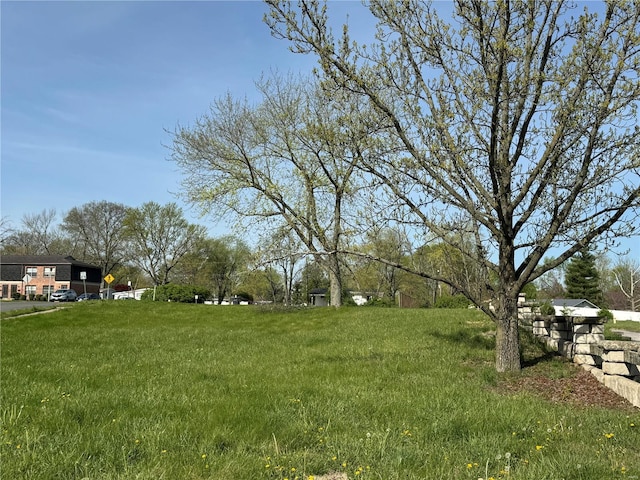 1415 Carla Dr, Florissant, MO 63033 - photo 10