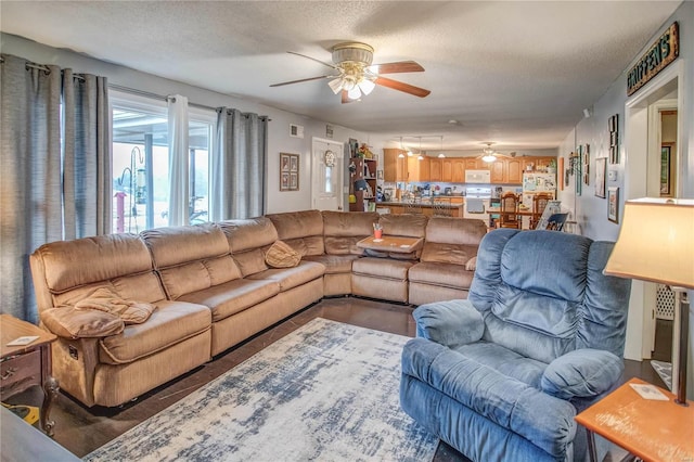302 E Bay St, Pleasant Hill, IL 62366 - living room with ceiling fan and a textured ceiling
