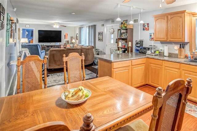 302 E Bay St, Pleasant Hill, IL 62366 - dining area featuring ceiling fan and light wood-type flooring