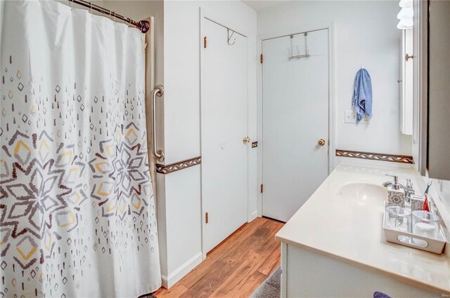302 E Bay St, Pleasant Hill, IL 62366 - bathroom with wood finished floors, vanity, and a shower with shower curtain
