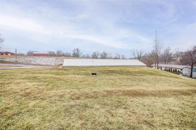 302 E Bay St, Pleasant Hill, IL 62366 - view of grassy yard