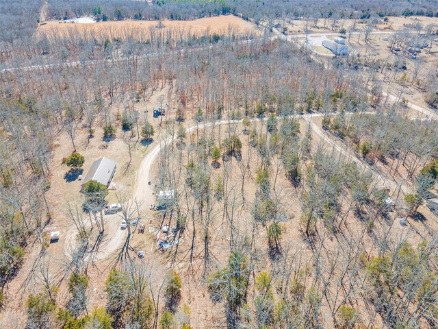 31950 County Road 6250, Edgar Springs, MO 65462 - aerial view of property's location featuring rural landscape