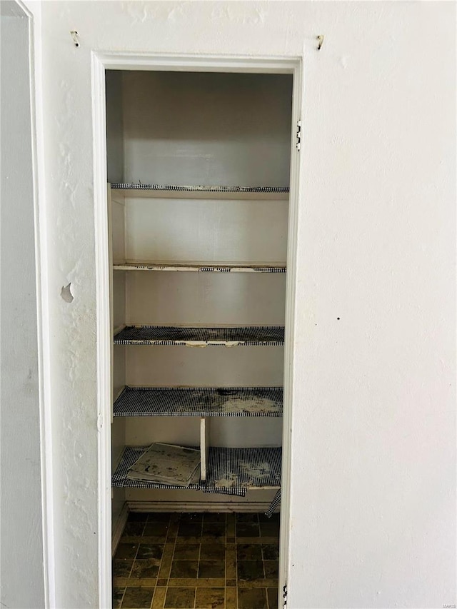 10719 Thorpe Ave, Saint Louis, MO 63114 - view of closet