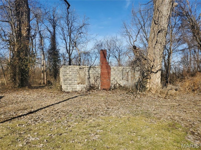 45 Jarvis Pl, Cahokia, IL 62207 - view of yard