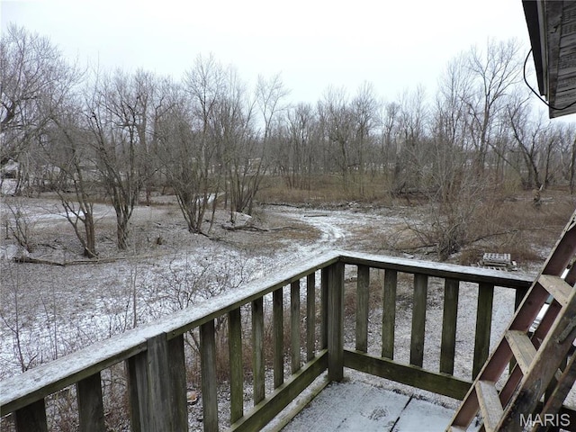 17 Martone St, Elsberry, MO 63343 - view of snow covered back of property
