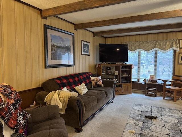 22755 Pin Oak Dr, Lebanon, MO 65536 - living room with carpet, beam ceiling, and wood walls