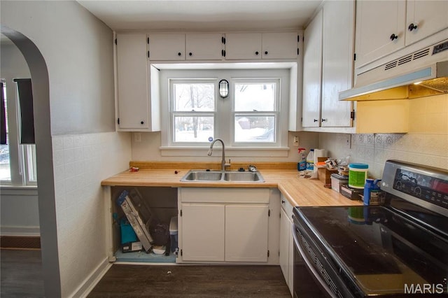 330 Grant St, Bethalto, IL 62010 - kitchen featuring stainless steel range with electric cooktop, a sink, under cabinet range hood, arched walkways, and light countertops