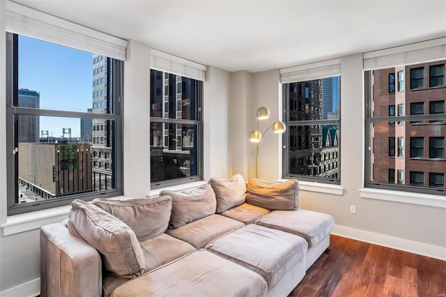 living area with baseboards, a city view, and wood finished floors