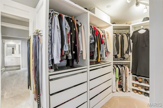 314 N Broadway Unit 903, Saint Louis, MO 63102 - spacious closet featuring light carpet