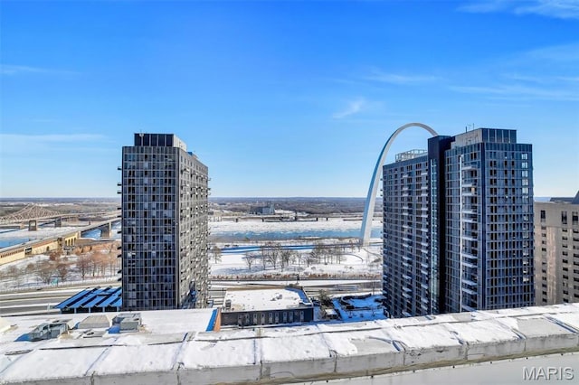 314 N Broadway Unit 903, Saint Louis, MO 63102 - city view