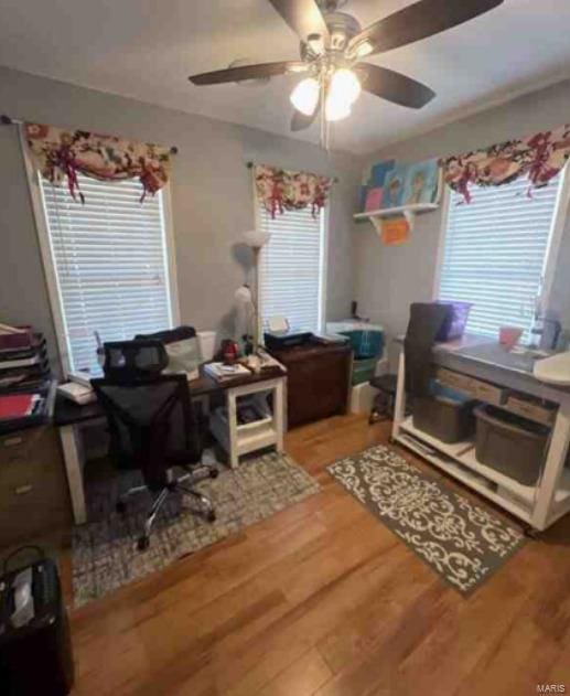 902 S Sutton Pl, Kennett, MO 63857 - office area featuring wood finished floors and ceiling fan