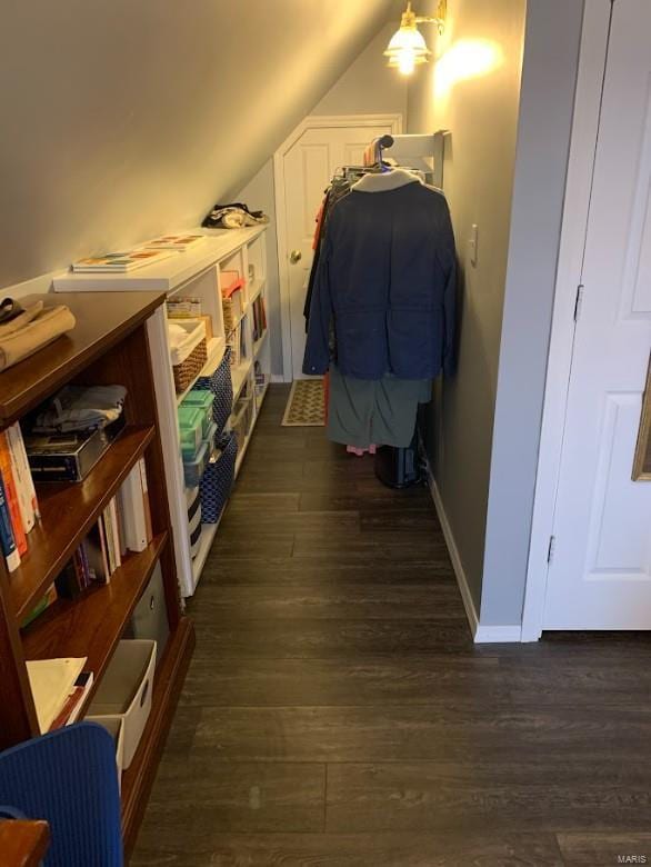 902 S Sutton Pl, Kennett, MO 63857 - walk in closet with dark wood-style floors and lofted ceiling
