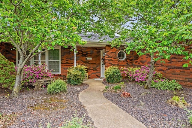 800 N Smiley St, Ofallon, IL 62269 - view of exterior entry featuring brick siding