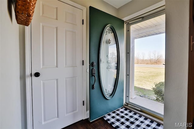 entryway with plenty of natural light and dark wood-style floors