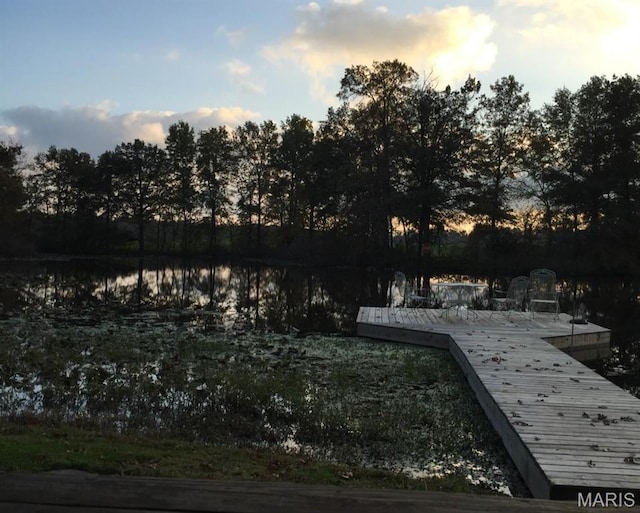 dock area with a water view