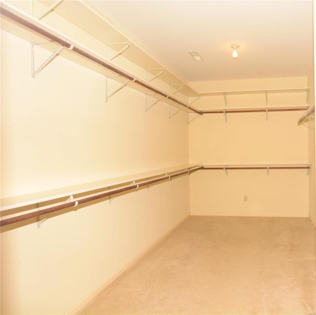 821 Oak Knoll Rd, Rolla, MO 65401 - spacious closet with light colored carpet