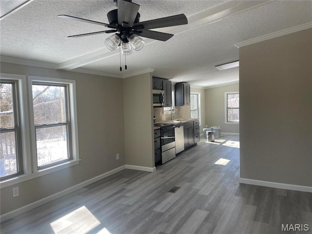61 Wildwood Ter, Sullivan, MO 63080 - kitchen with appliances with stainless steel finishes, a textured ceiling, a sink, a ceiling fan, and dark wood-type flooring