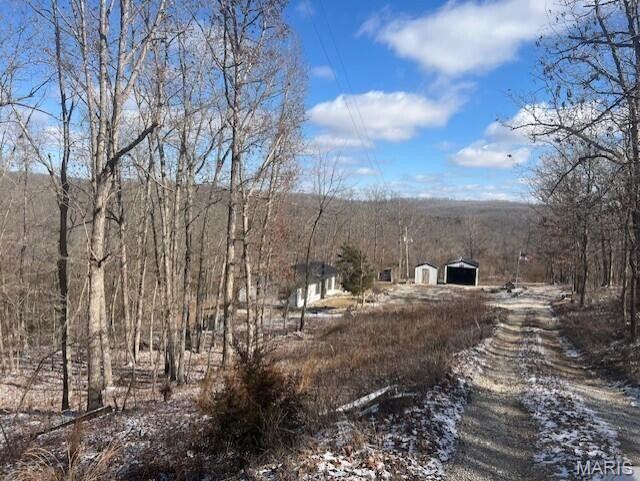 11498 M-Weatherman Dr, Mountain Grove, MO 65711 - view of dirt / gravel driveway