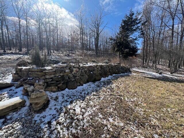 11498 M-Weatherman Dr, Mountain Grove, MO 65711 - view of yard layered in snow