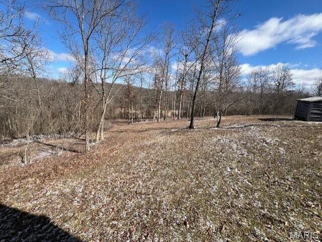 11498 M-Weatherman Dr, Mountain Grove, MO 65711 - view of yard