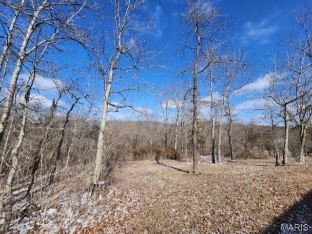 11498 M-Weatherman Dr, Mountain Grove, MO 65711 - view of tree filled area