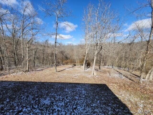 11498 M-Weatherman Dr, Mountain Grove, MO 65711 - view of yard featuring a wooded view