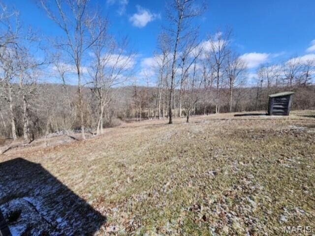 11498 M-Weatherman Dr, Mountain Grove, MO 65711 - view of yard