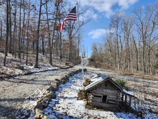 11498 M-Weatherman Dr, Mountain Grove, MO 65711 - view of yard