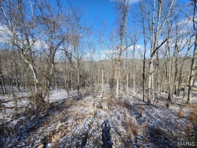 11498 M-Weatherman Dr, Mountain Grove, MO 65711 - view of nature