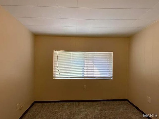 517 Mascoutah Ave, Belleville, IL 62220 - photo 29